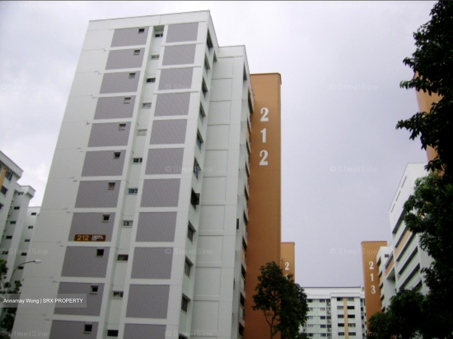 Blk 212 Tampines Street 23 (Tampines), HDB 4 Rooms #480509791